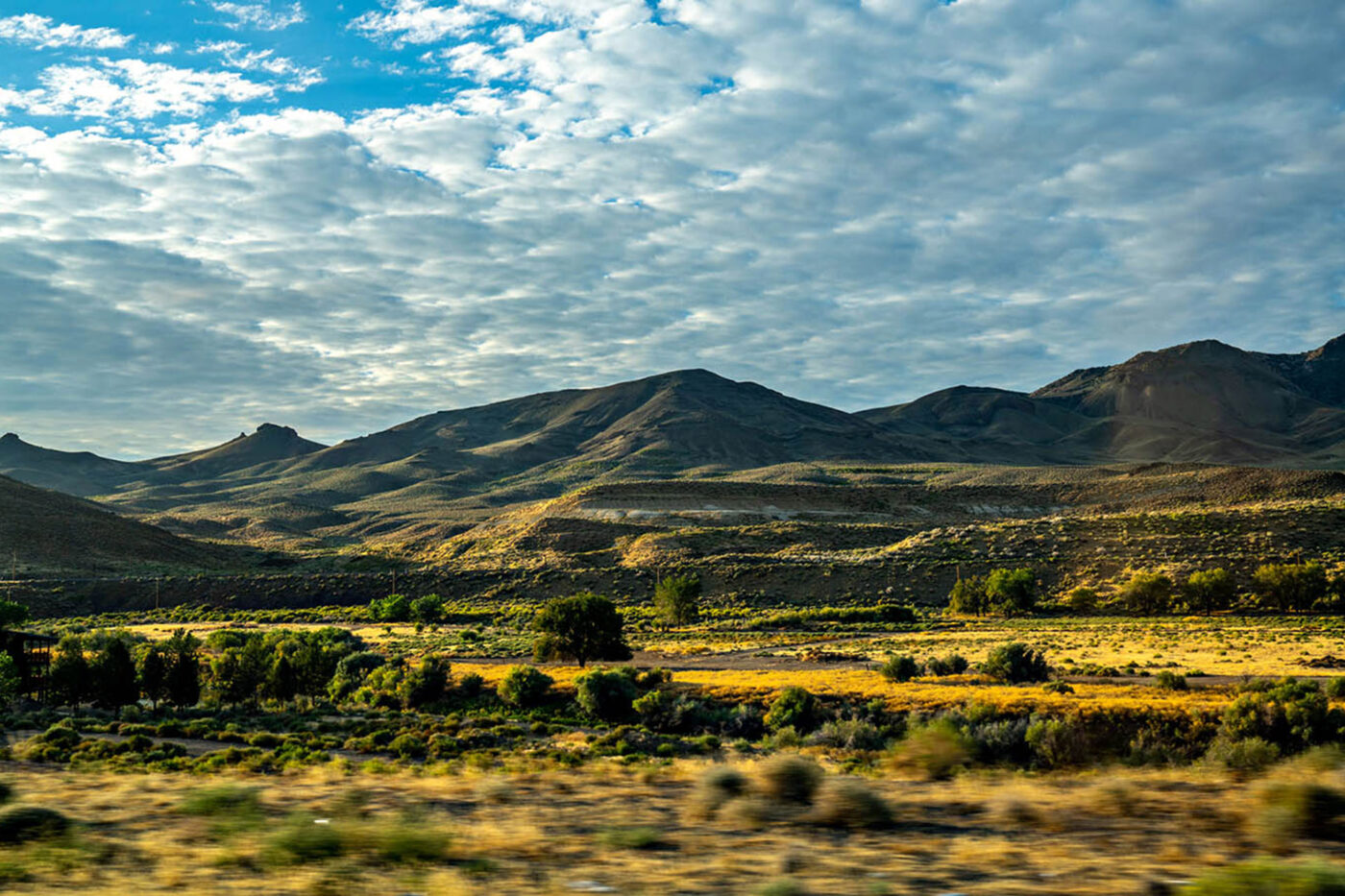 Countryside passing in a road trip daze.