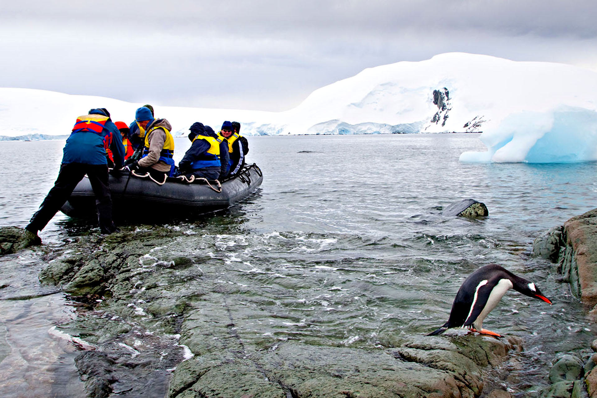 Stepping onto Antarctica at Mikkelson Harbour. 