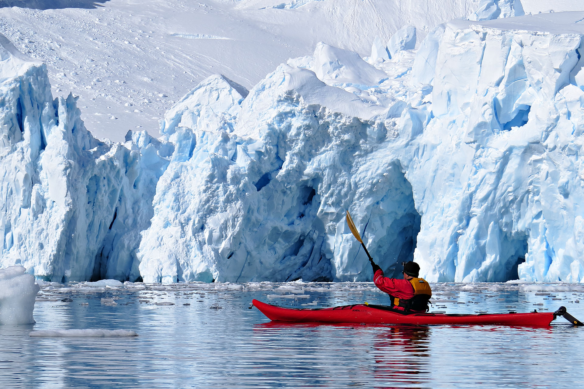 Kayaking among icebergs in Paradise Bay.