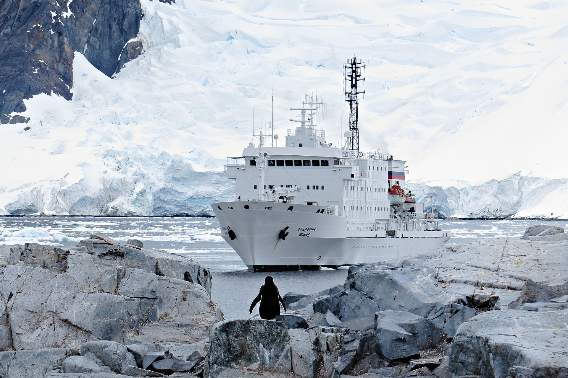 Expedition cruise ship surrounded by Antarctic pack ice and one lone penguin.