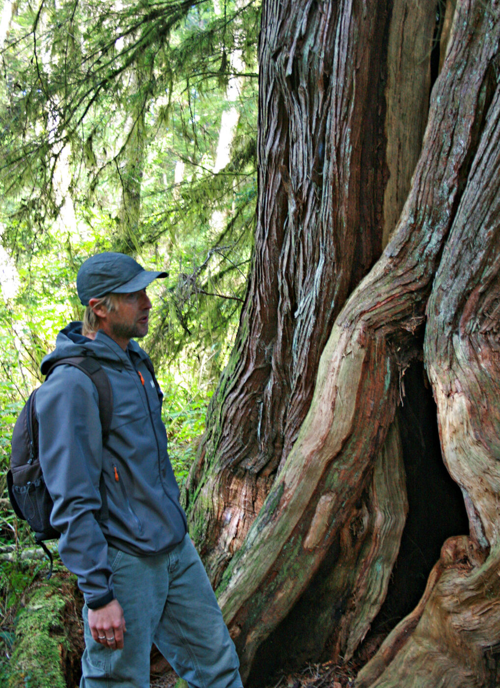 Guide Josh Lewis in an sncient rainforest on Vancouver Island Canada.