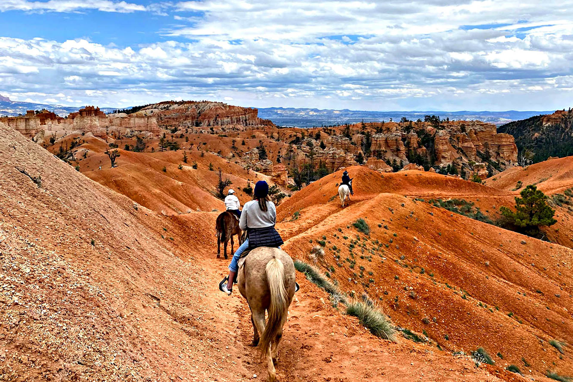 Bryce Canyon on my mule, Porky.