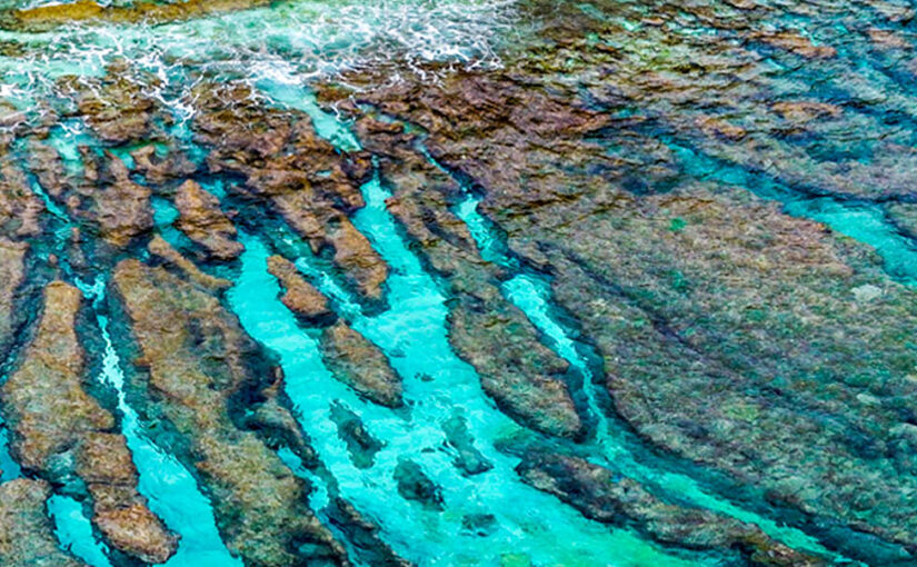 THE EDGE OF AUSTRALIA