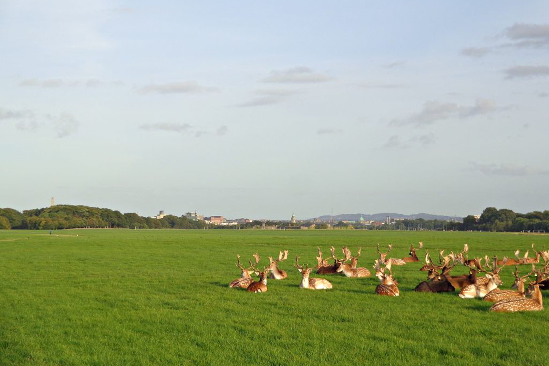 Phoenix park.