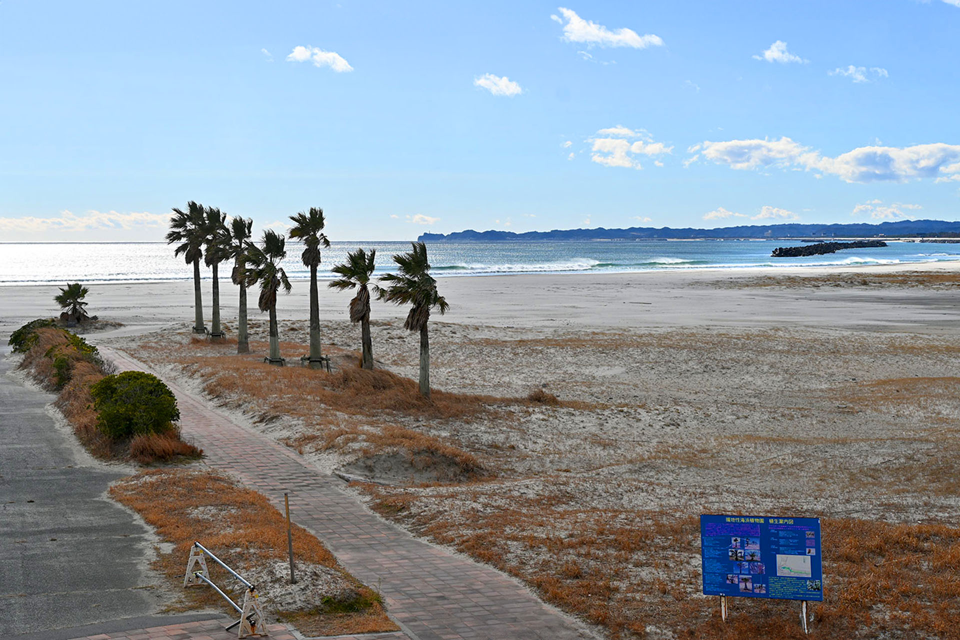 The town of Futuba is positioned by the water but that made things hard during the tsunami.