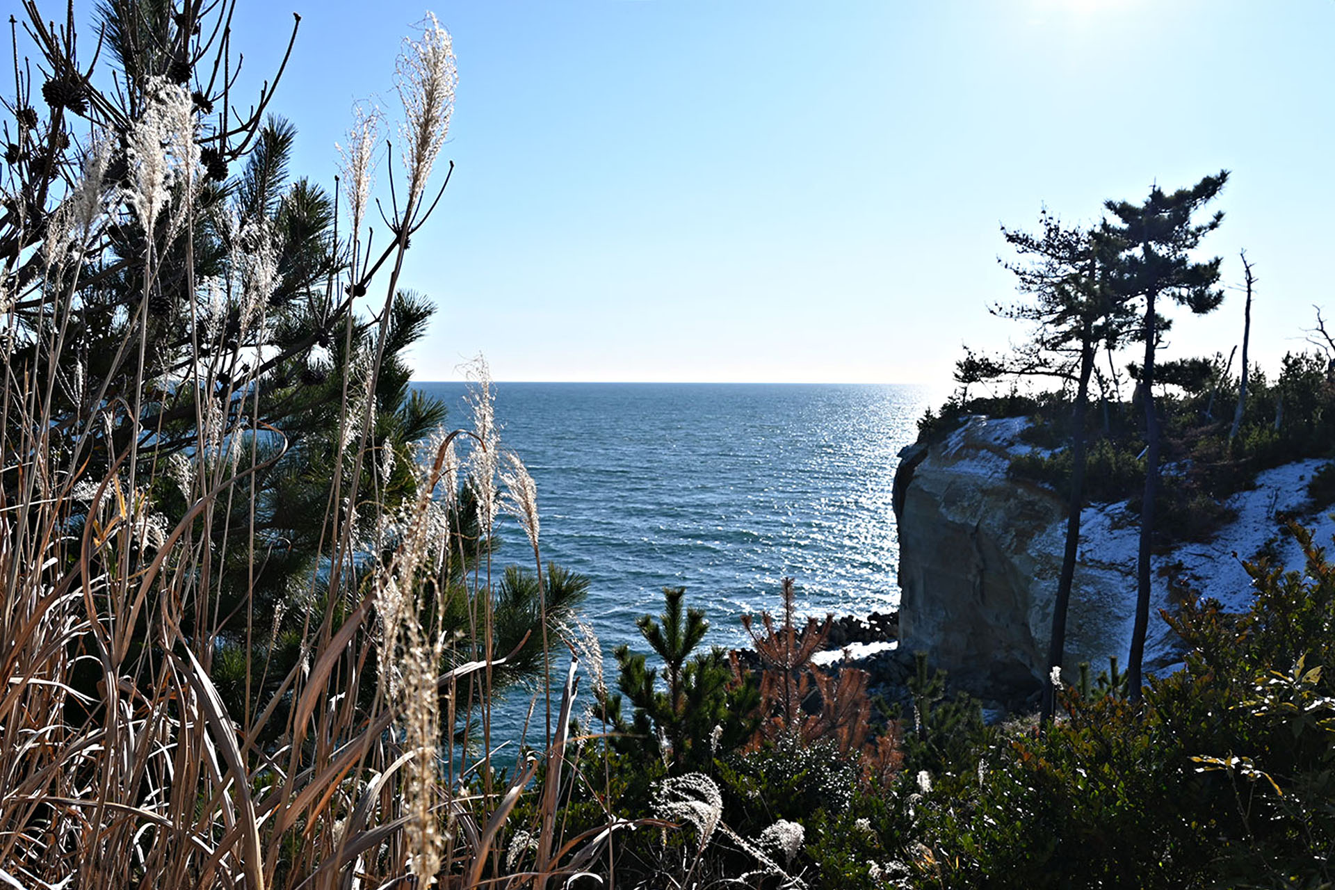 Thankfully, the ocean that surrounds Fukushima has been quiet for decades.