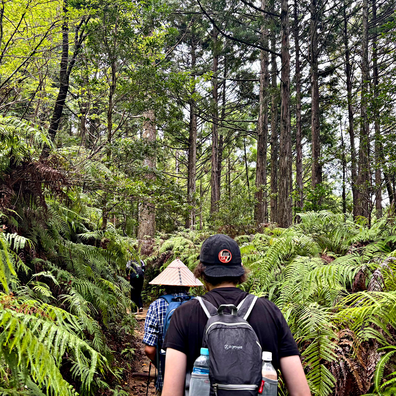 Two men walking through a luscious part of the Kumano Kodo trail. 