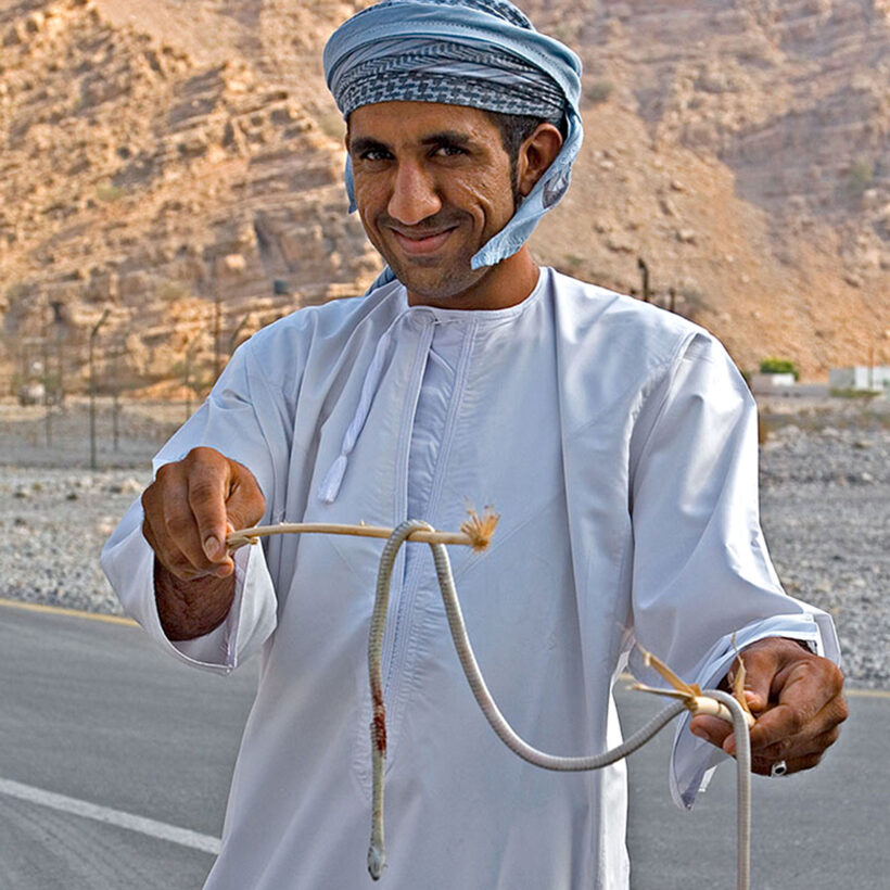 A venomous snake found on the road in Lima village.