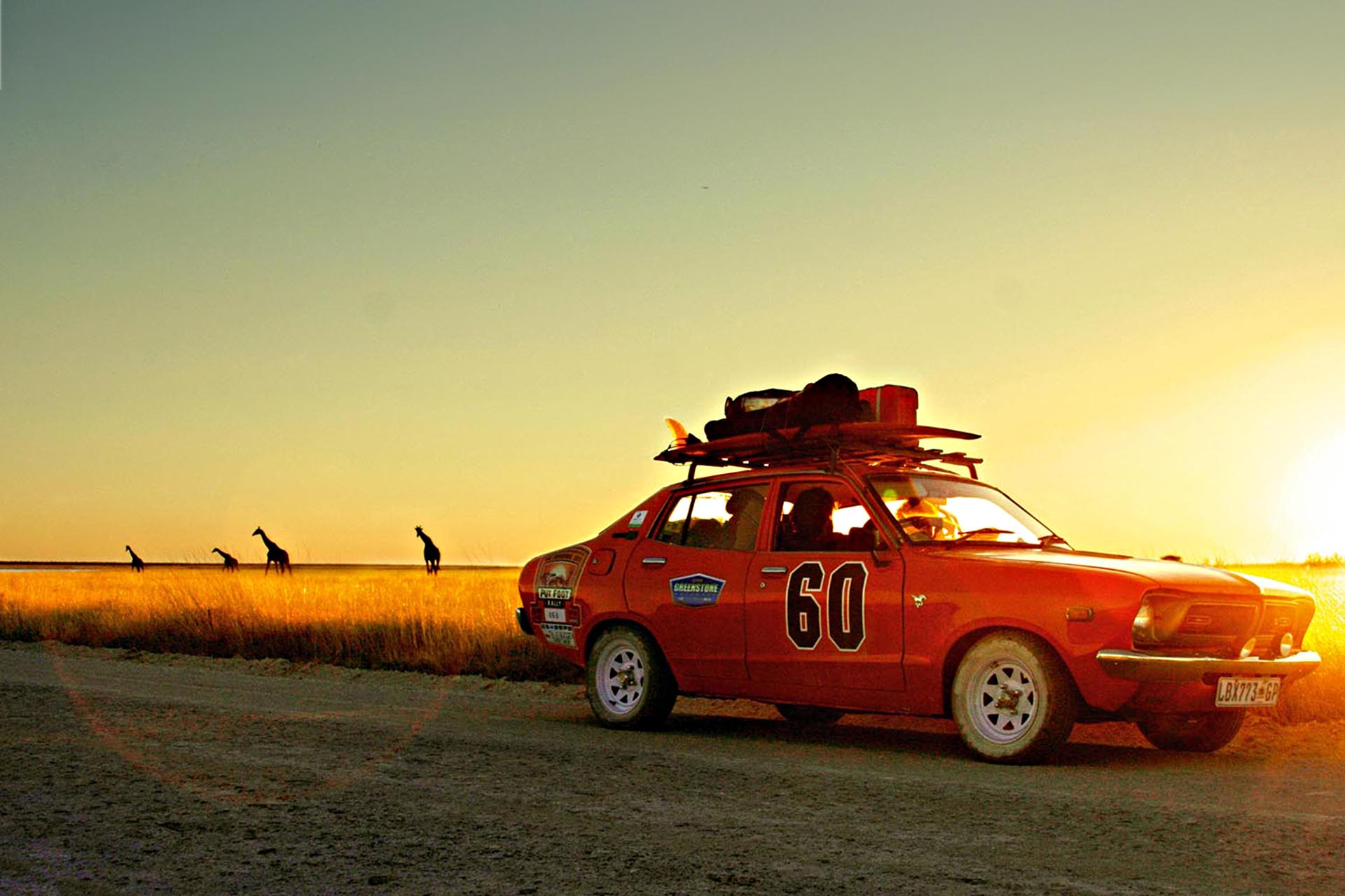 It’s one seriously wild ride past Southern Africa’s wildlife.