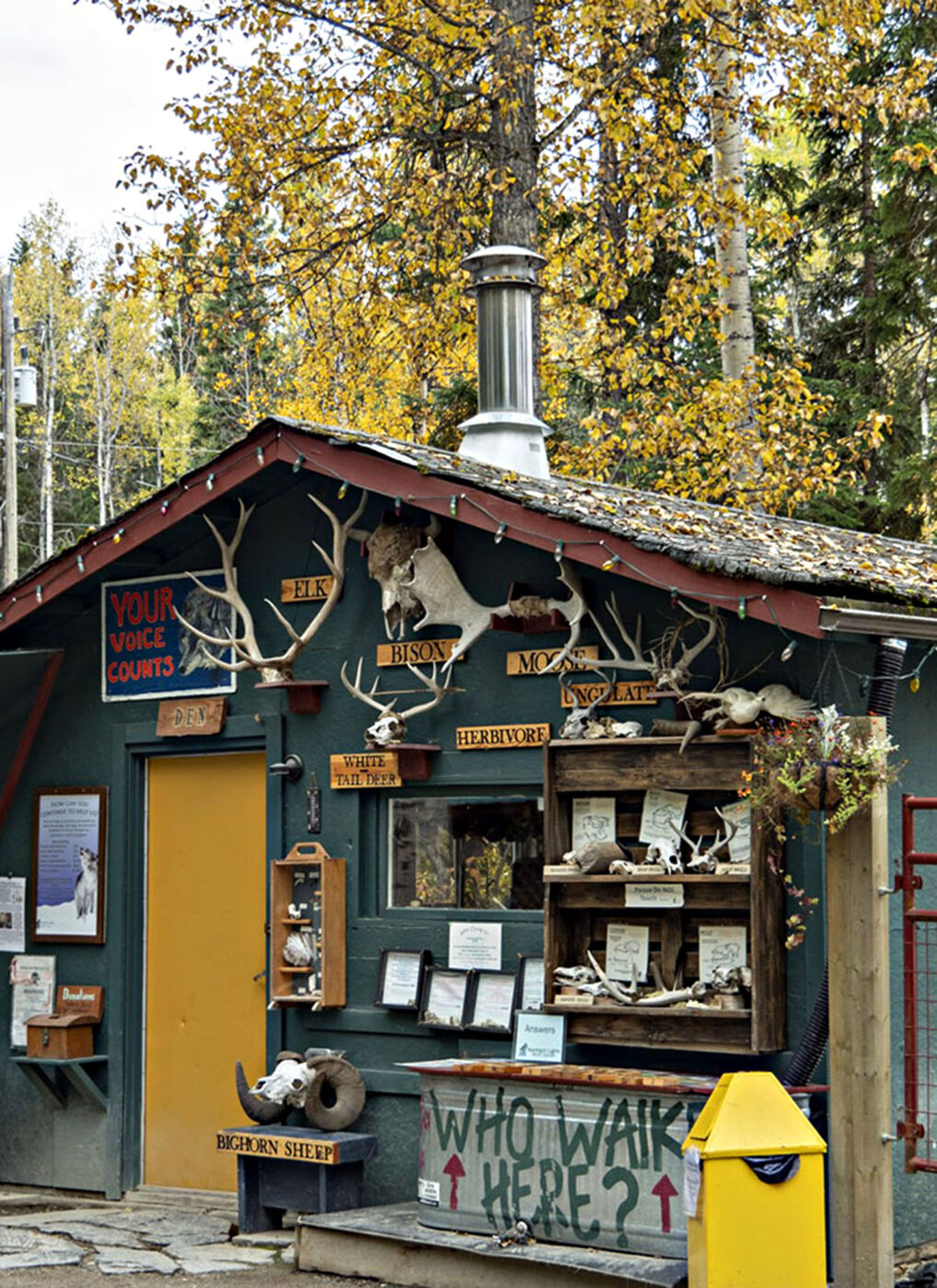 The main, antler-adorned office of the Northern Lights Wolf Centre.