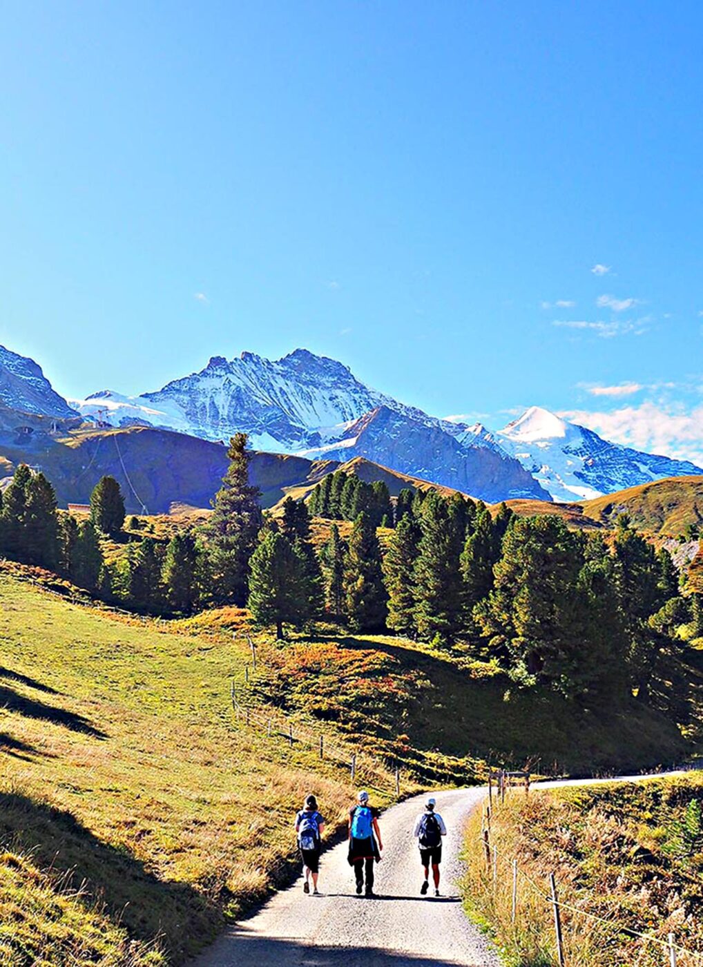 The Eiger, Mönch and Jungfrau loom ahead.