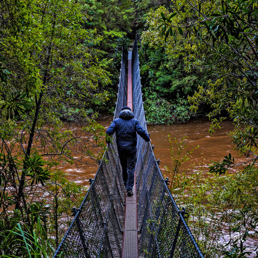 A swing bridge over the Franklin River.
