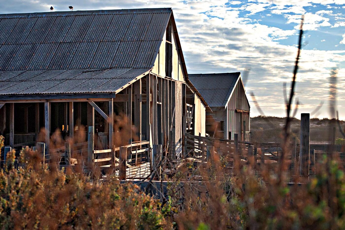 The old shearing sheds at Quobba Homestead.