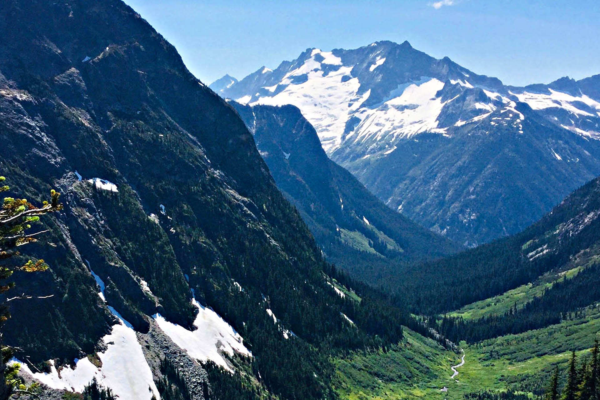 Mountains and Meadows of Easy Pass, North Cascades National Park.