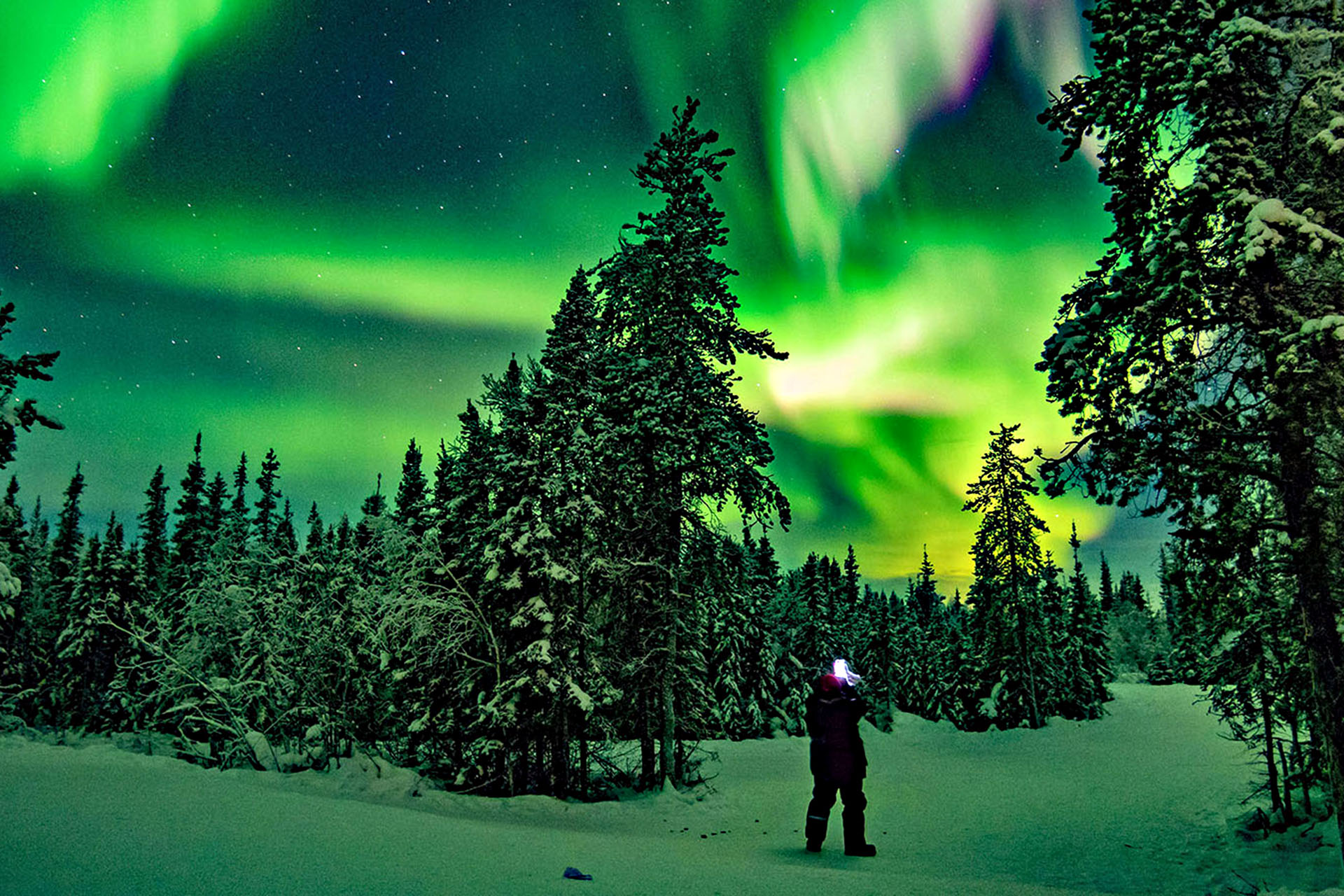 Blachford Lake Lodge, Yellowknife is located directly beneath the auroral oval.
