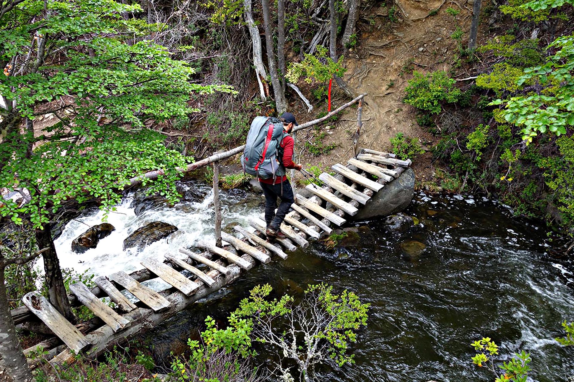 Descending out of the forest