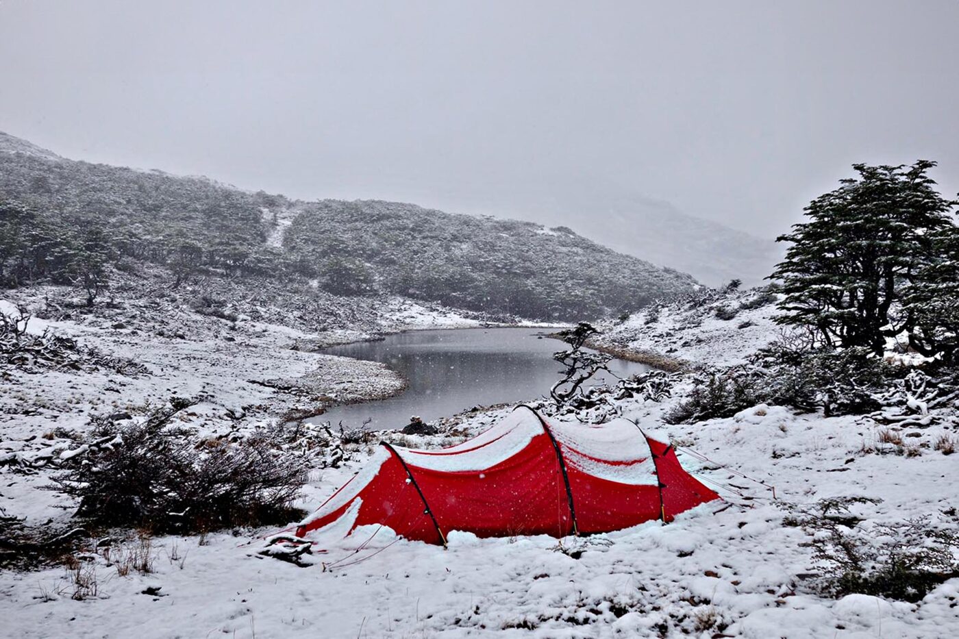 Waking up to snow.