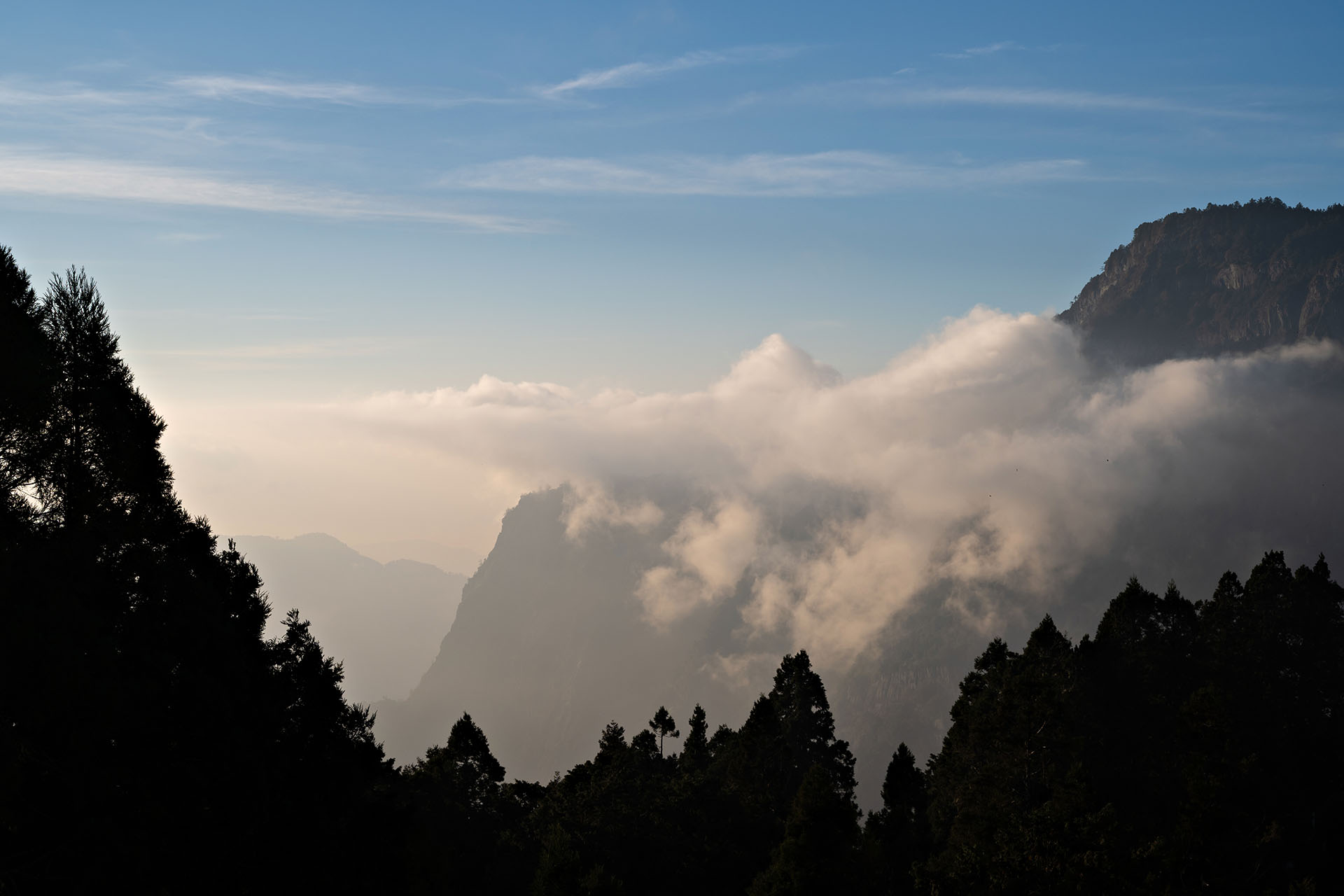 Morning mist drifting through the mountains of Alishan National Scenic Area in Taiwan.