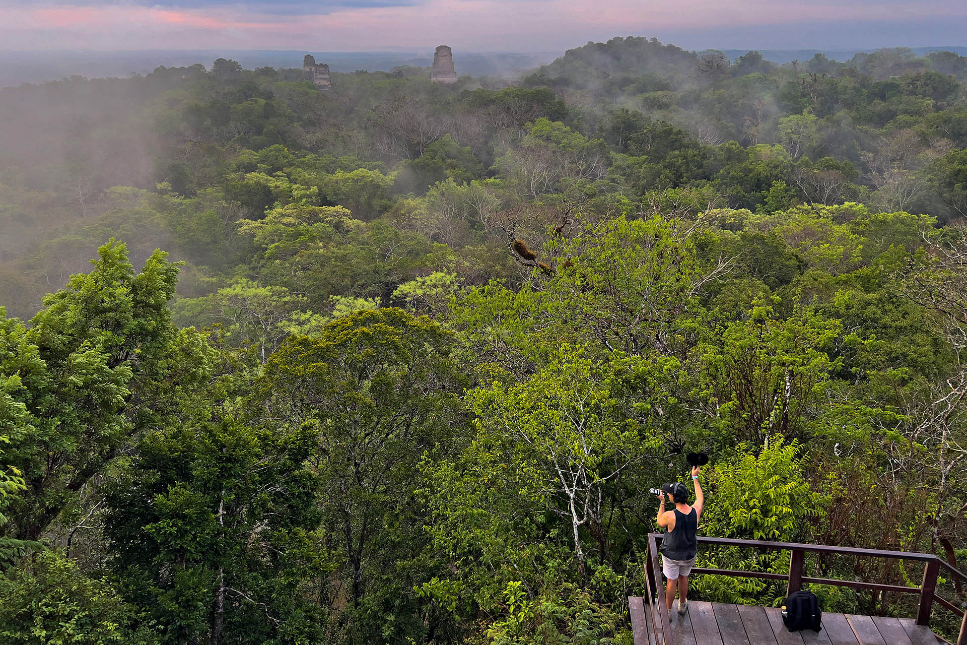 Luvia co-founder recording rainforest birdsong from a viewing platform in Borneo, Malaysia.