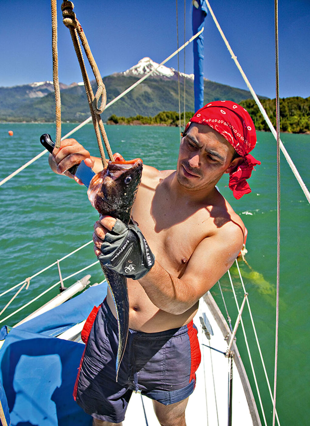 Herman ‘The Pirate’ guts a congrio colorado fish he has just speared while diving.