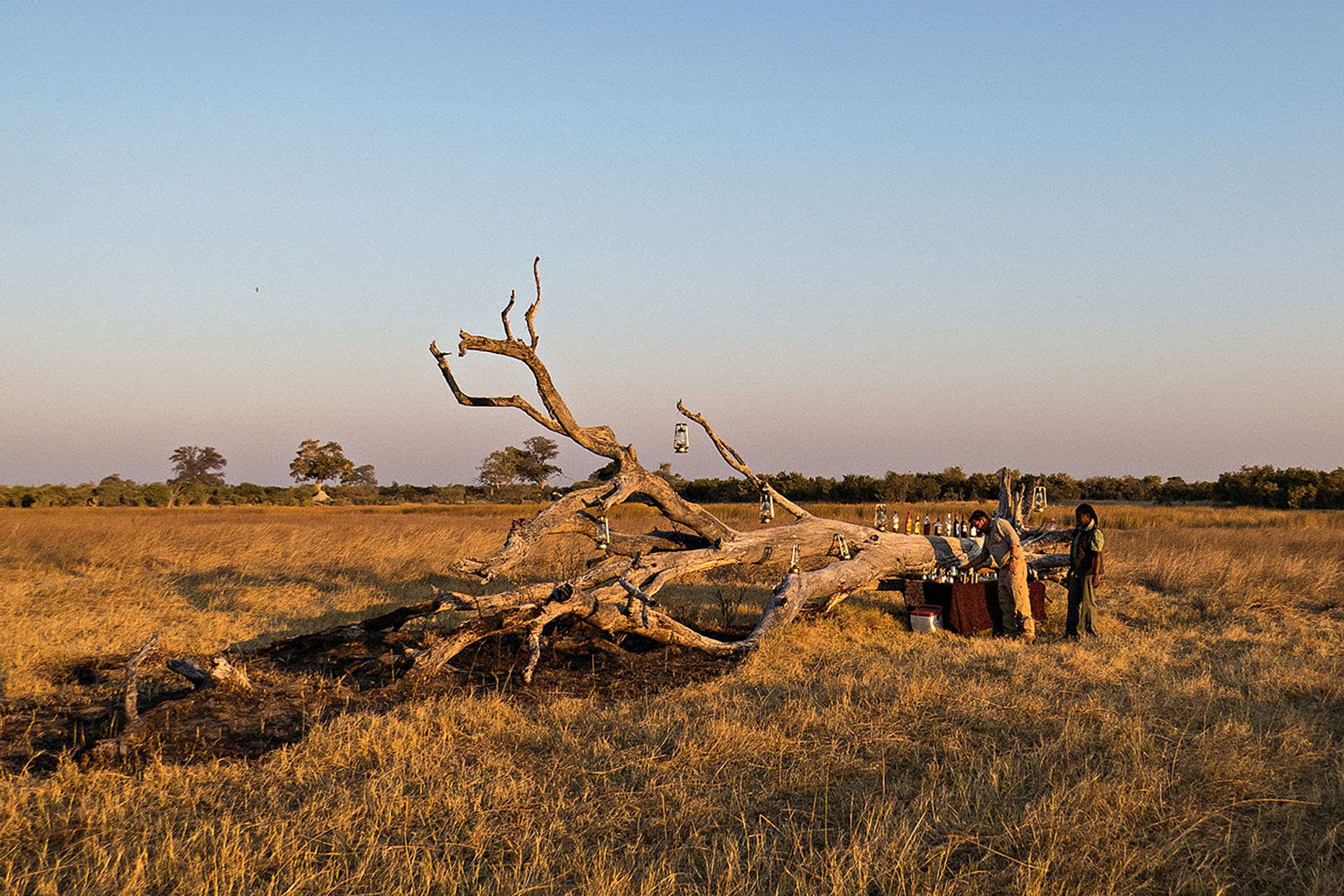 Sunset drinks at the end of a game drive.