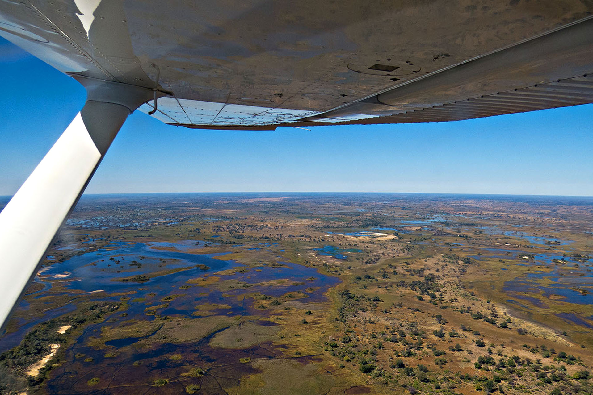 Soaring over the Delta.