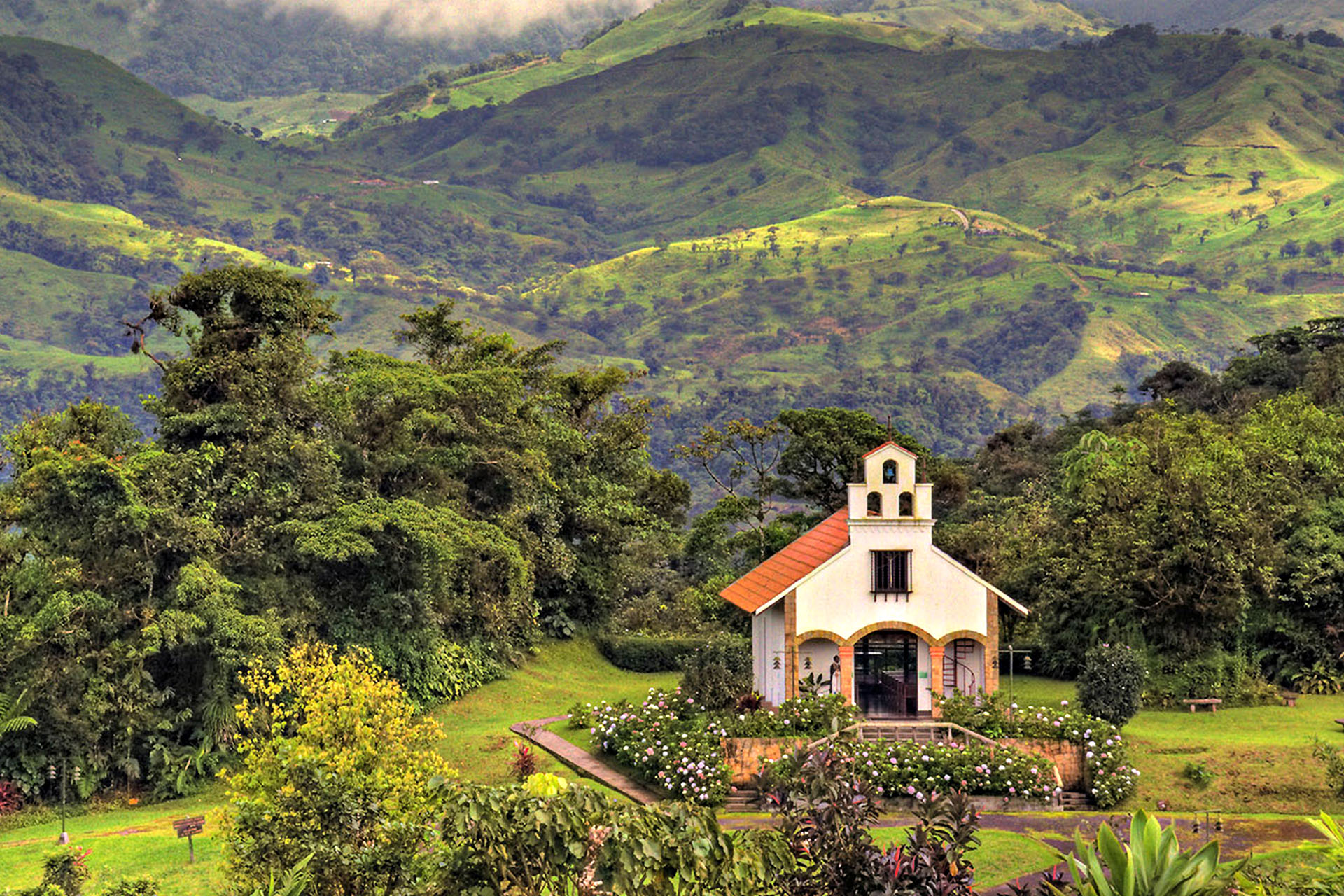 Situated within Los Angeles Private Cloud Forest Reserve, Villa Blanca is a forest utopia.