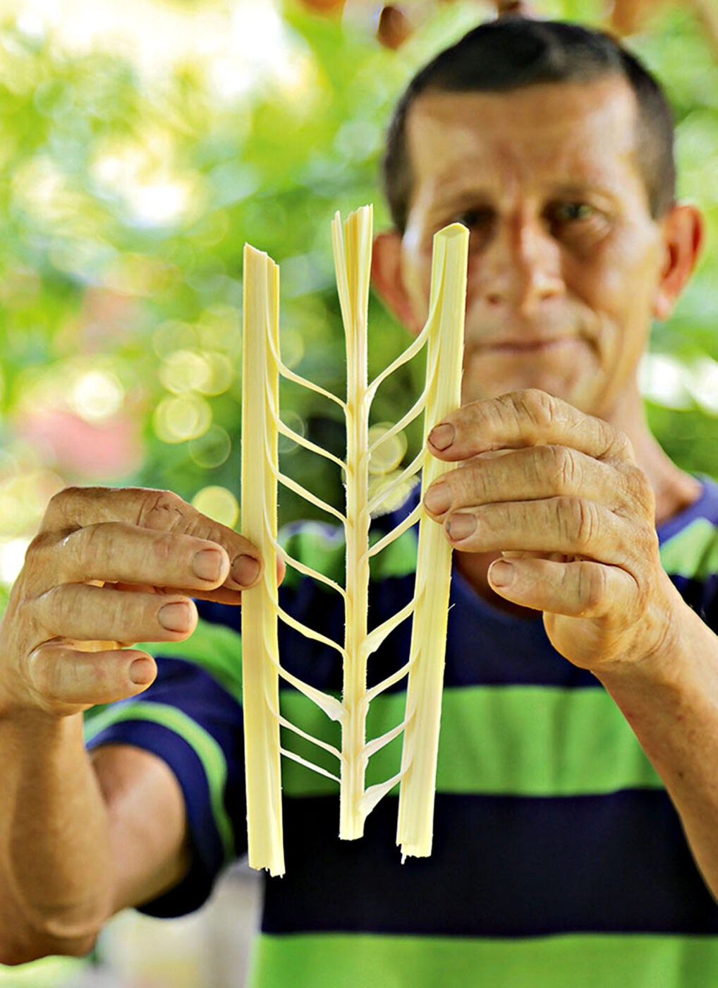 Papa Tico showing off his heart of palm.