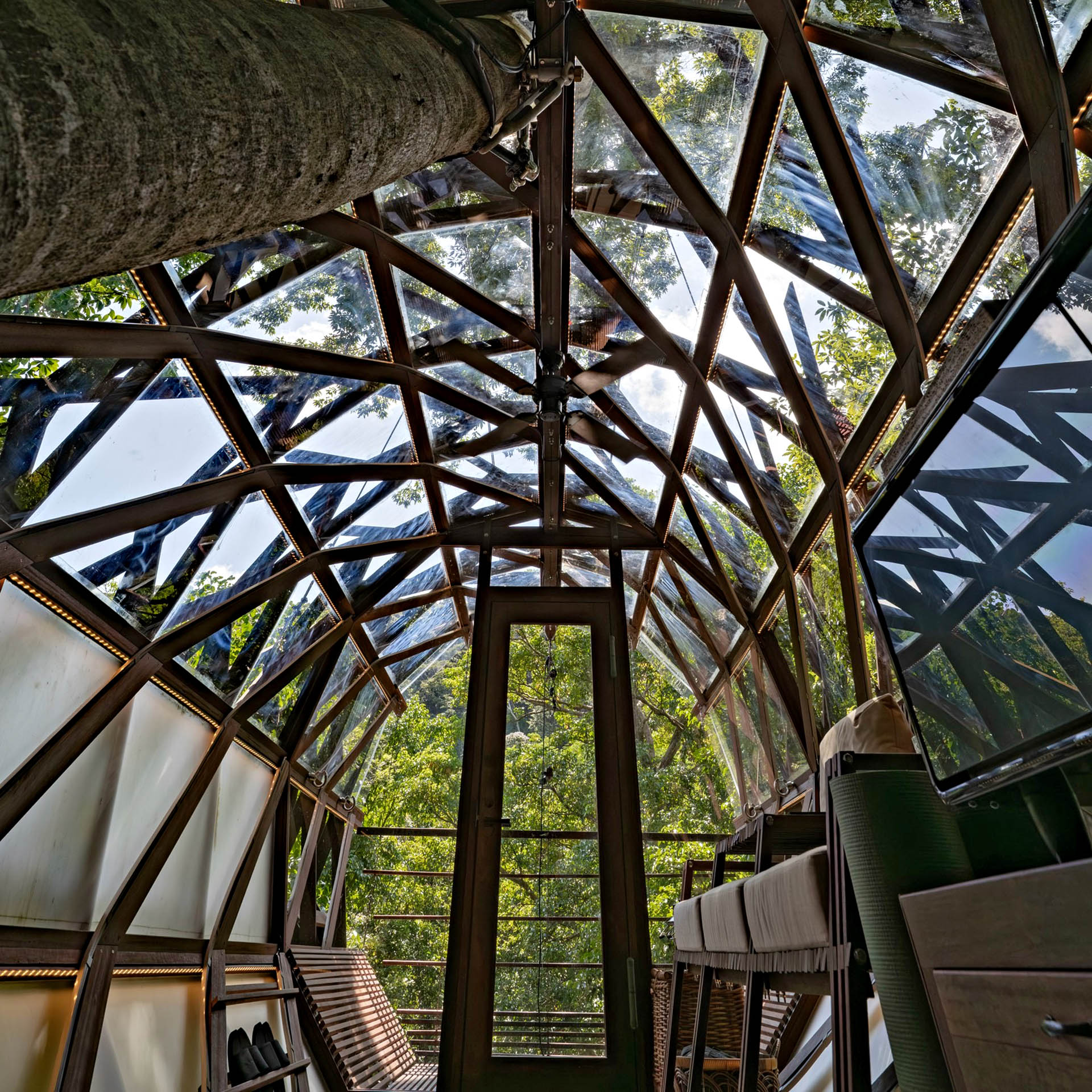 Interior of Treeful Floating Treehouse in Okinawa with glass walls wrapped around a living tree.