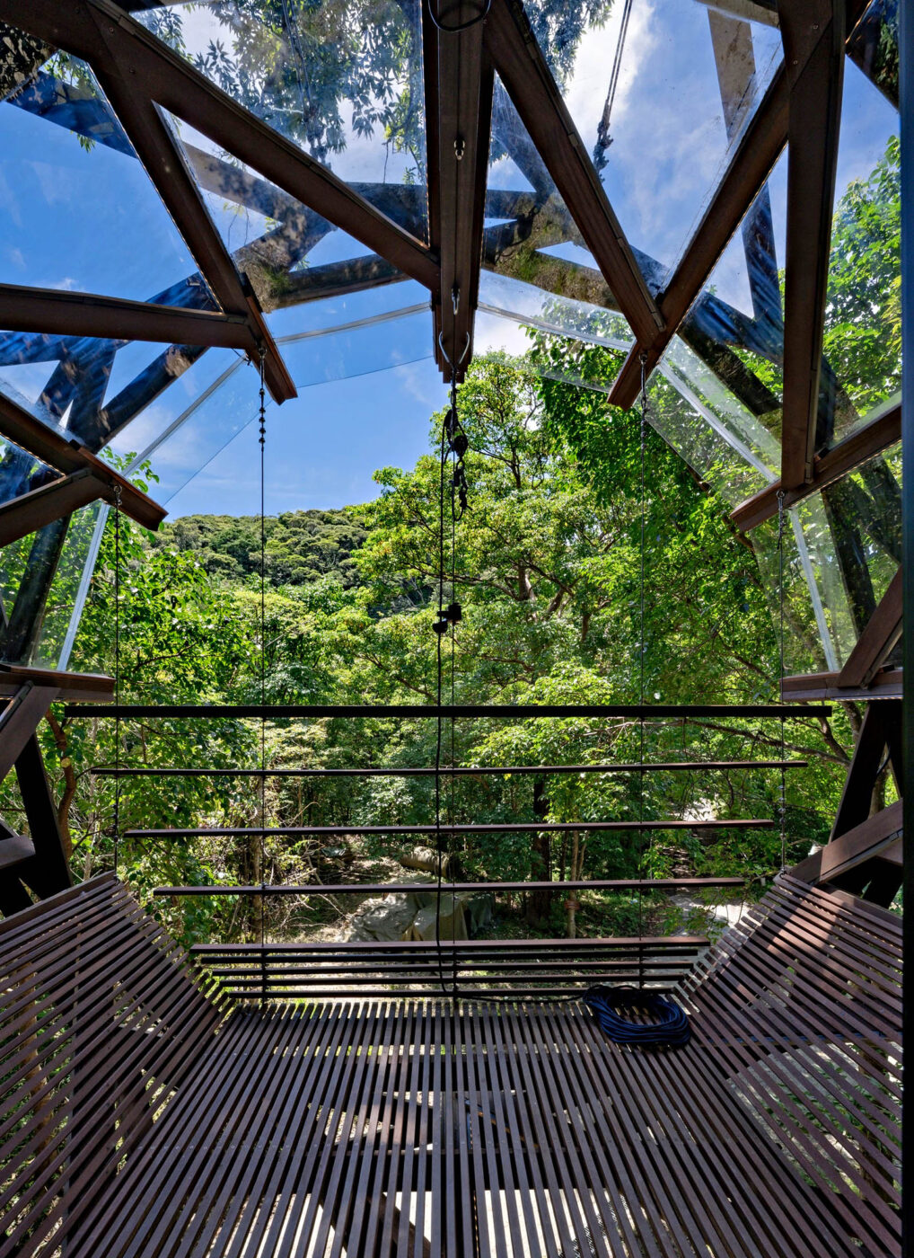 Forest canopy view from the terrace of Treeful Floating Treehouse in Yanbaru, Okinawa, Japan.