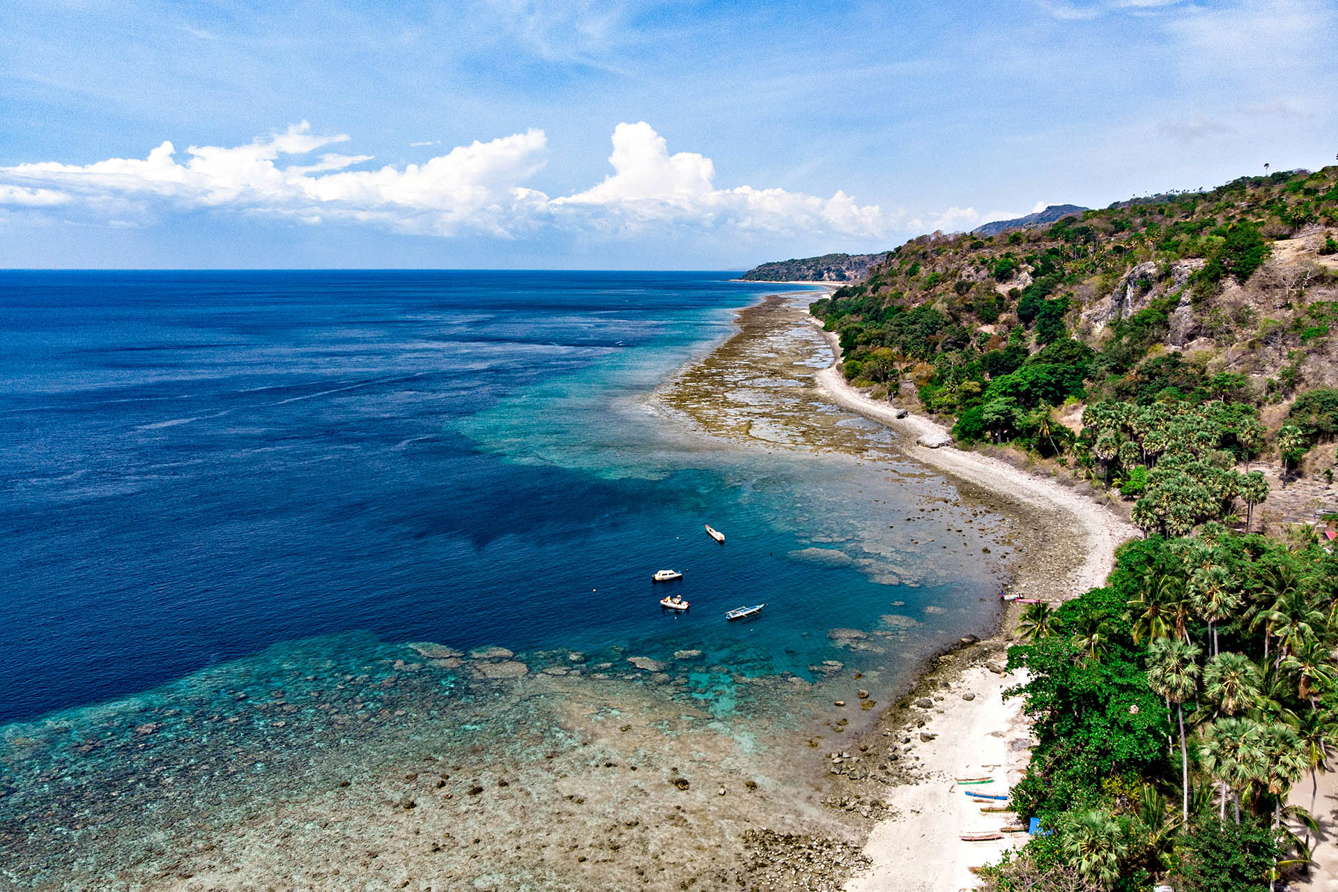 Aerial view of the coastline and coral reefs of Nino Konis Santana National Park, Timor-Leste.