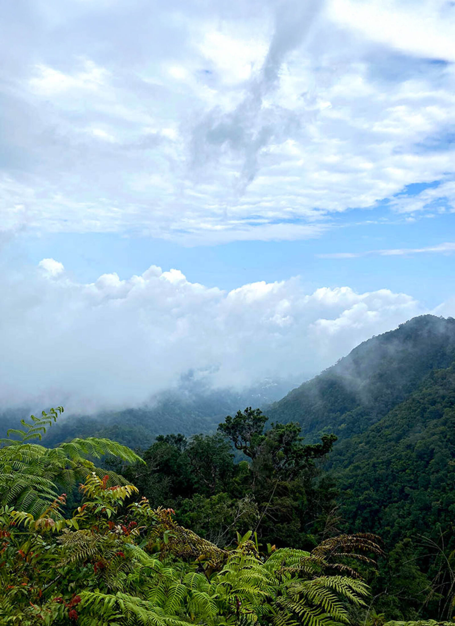 Halfway up the hike, the nearby village begins to fade into cloud. 