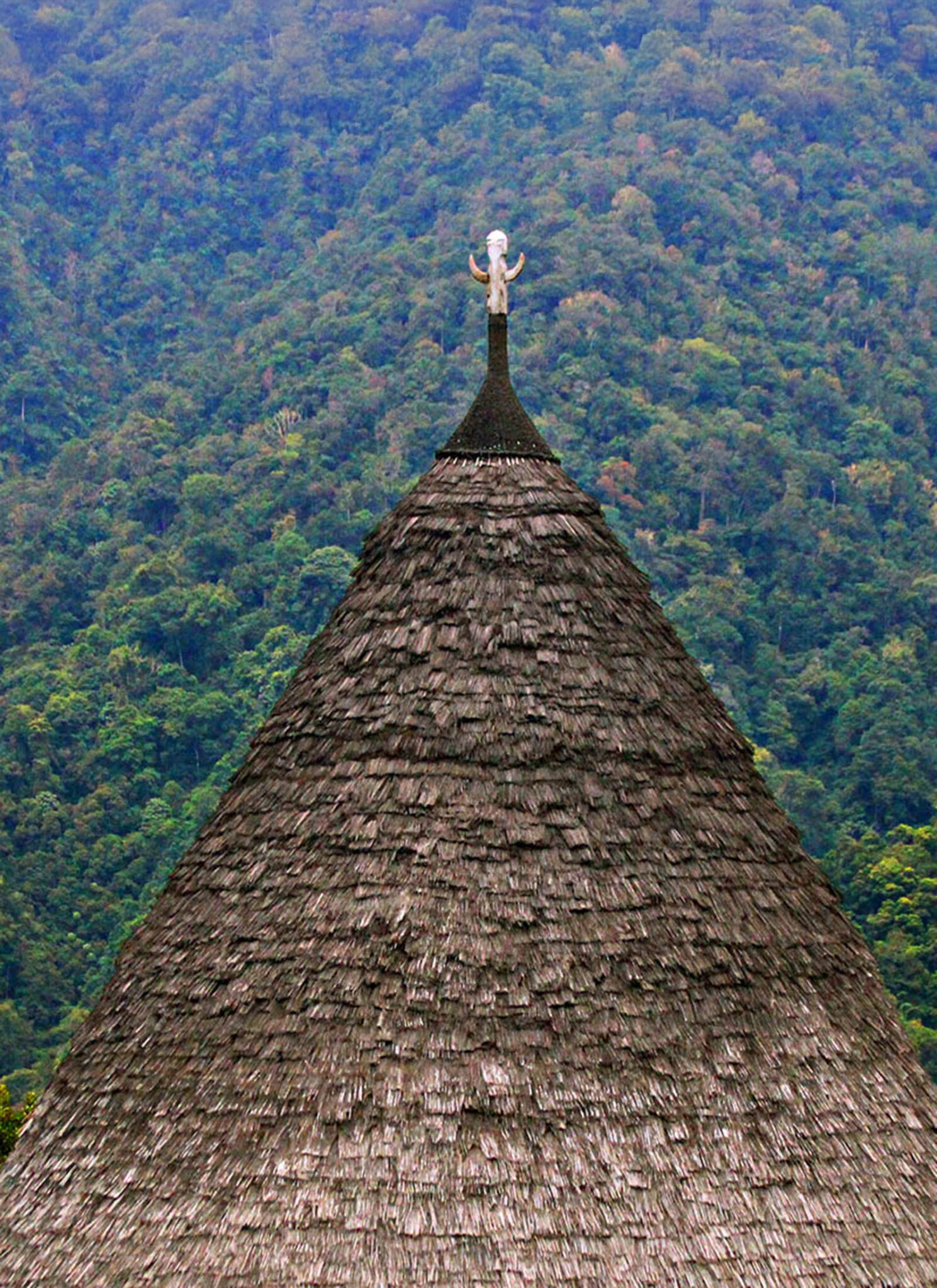 The unique cone Mbaru Niang.