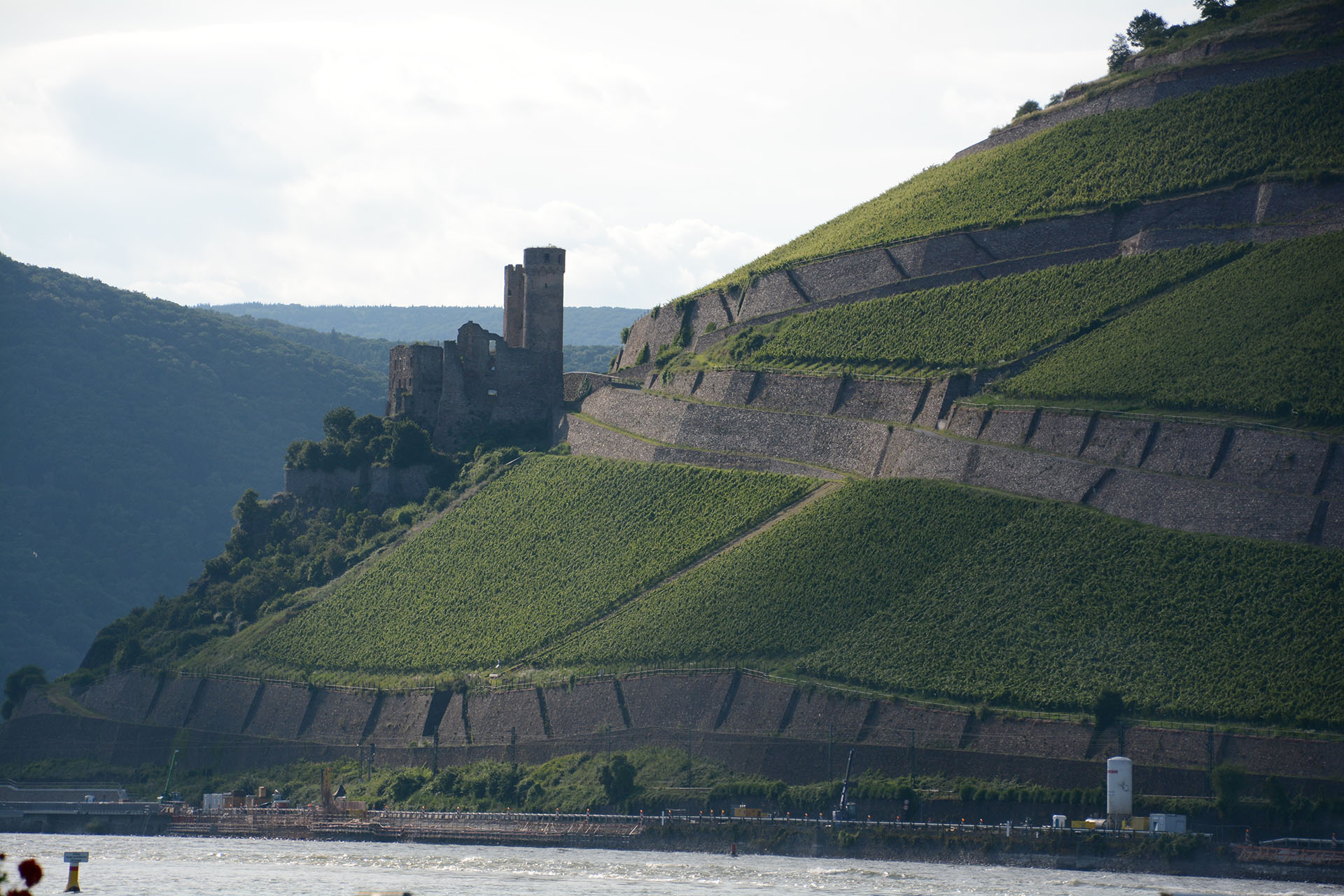 The hills are alive.