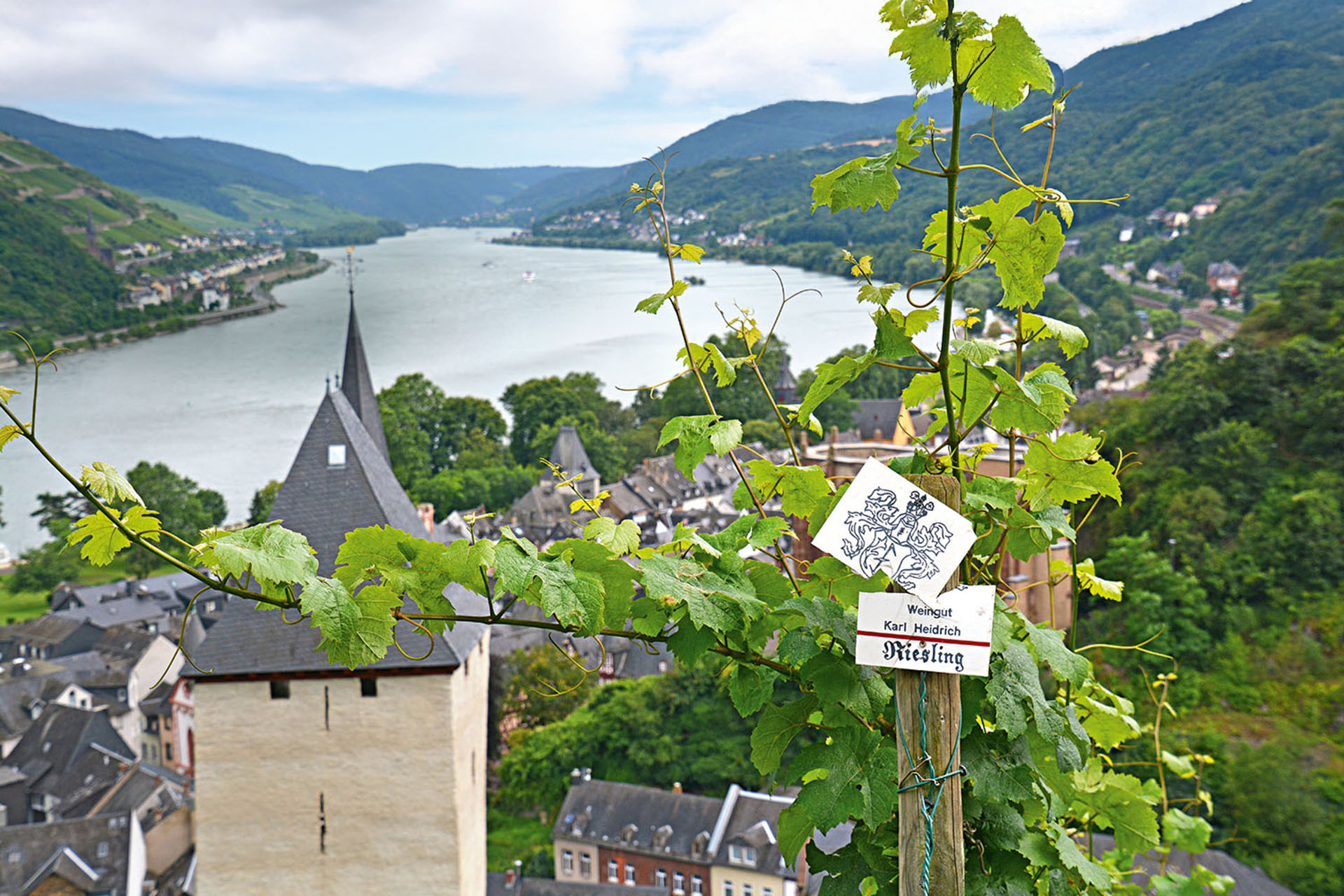 Wine is never far away in the Rhine Valley.