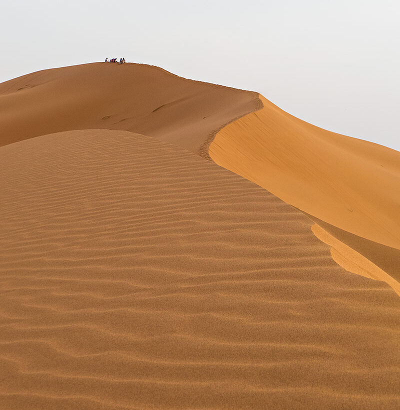 A perfect place for sundowners perched high on the dune.