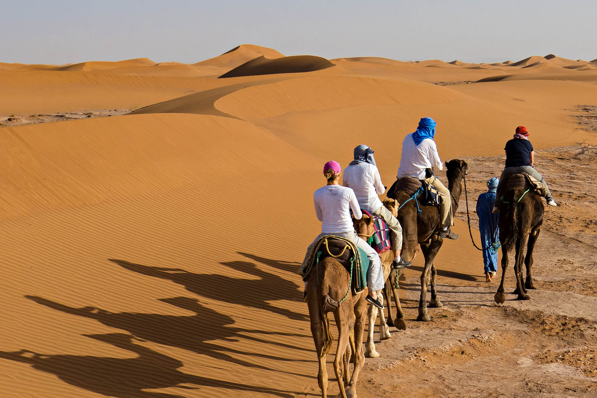 Camel ride from camp.