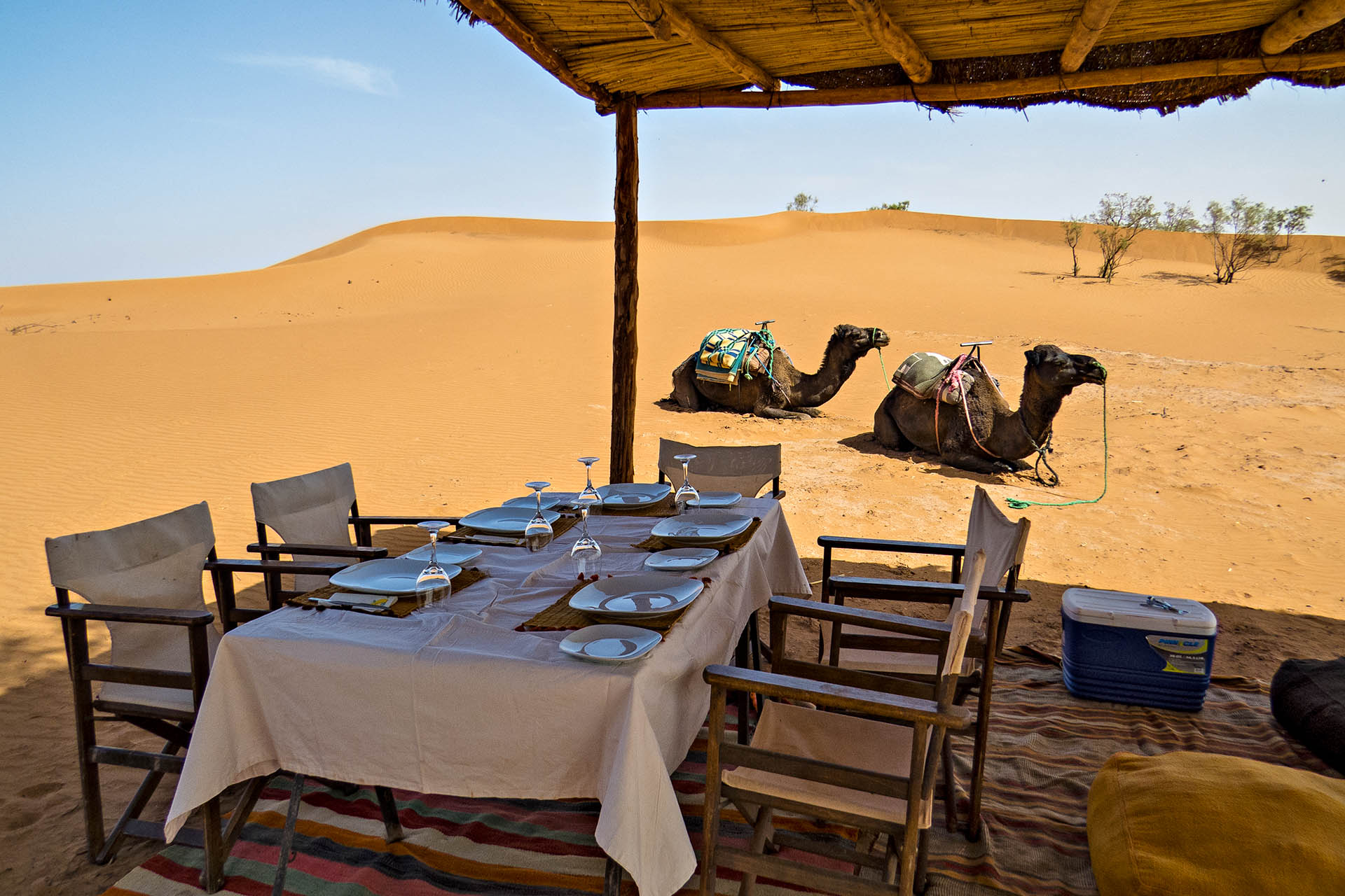 Lunch within the dunes.