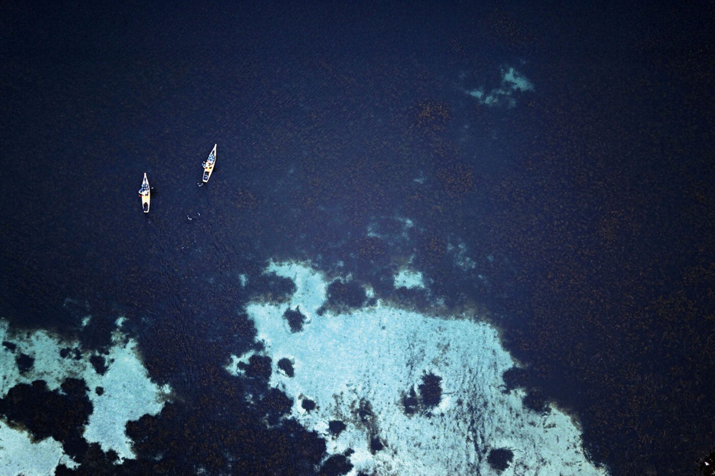 From above, our surrounds look totally different.