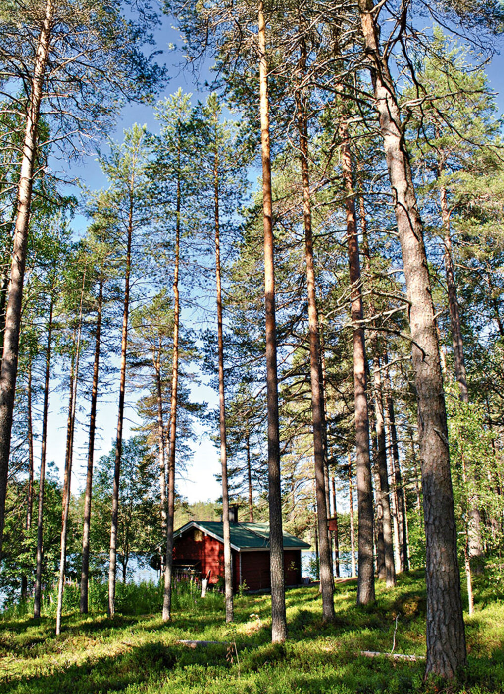 The lakefront sauna at Wildlife Safaris’ base camp.