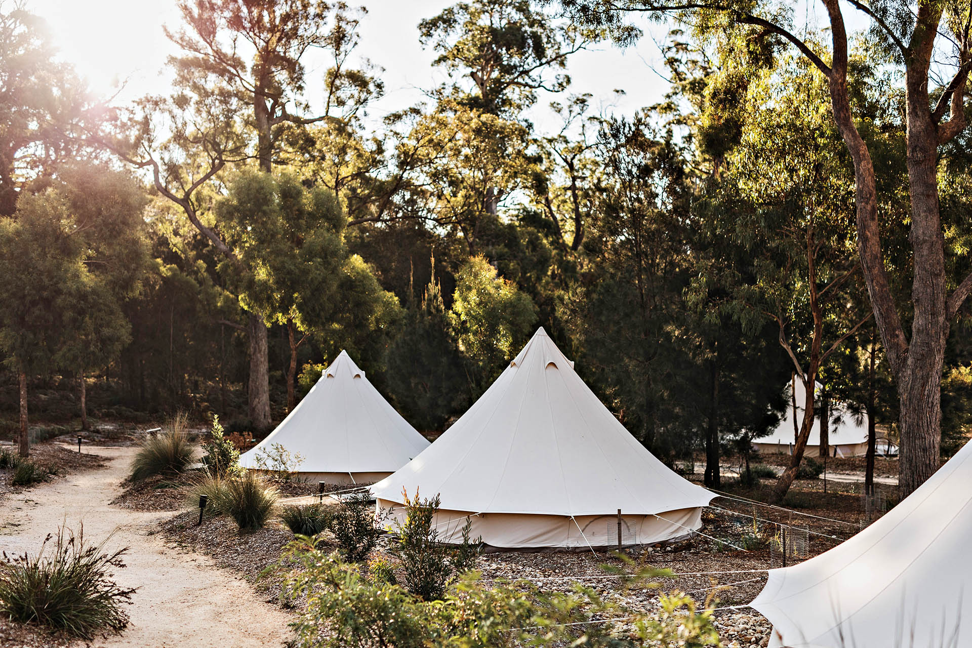 Glamping bell tents surrounded by native bushland at Bay of Fires Bush Retreat near Binalong Bay, Tasmania.