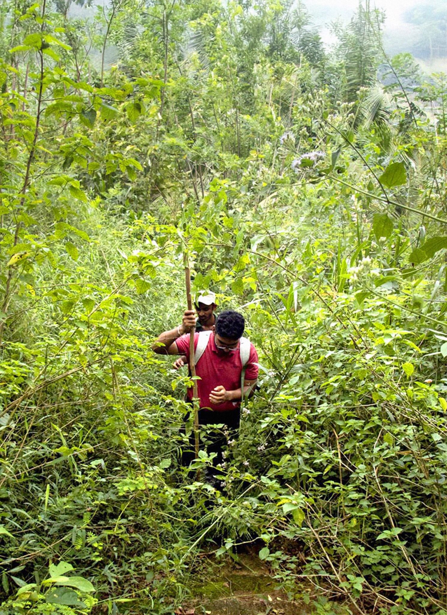 Lost? Not a chance. Sri Lanka is a miscellany of terrain.
