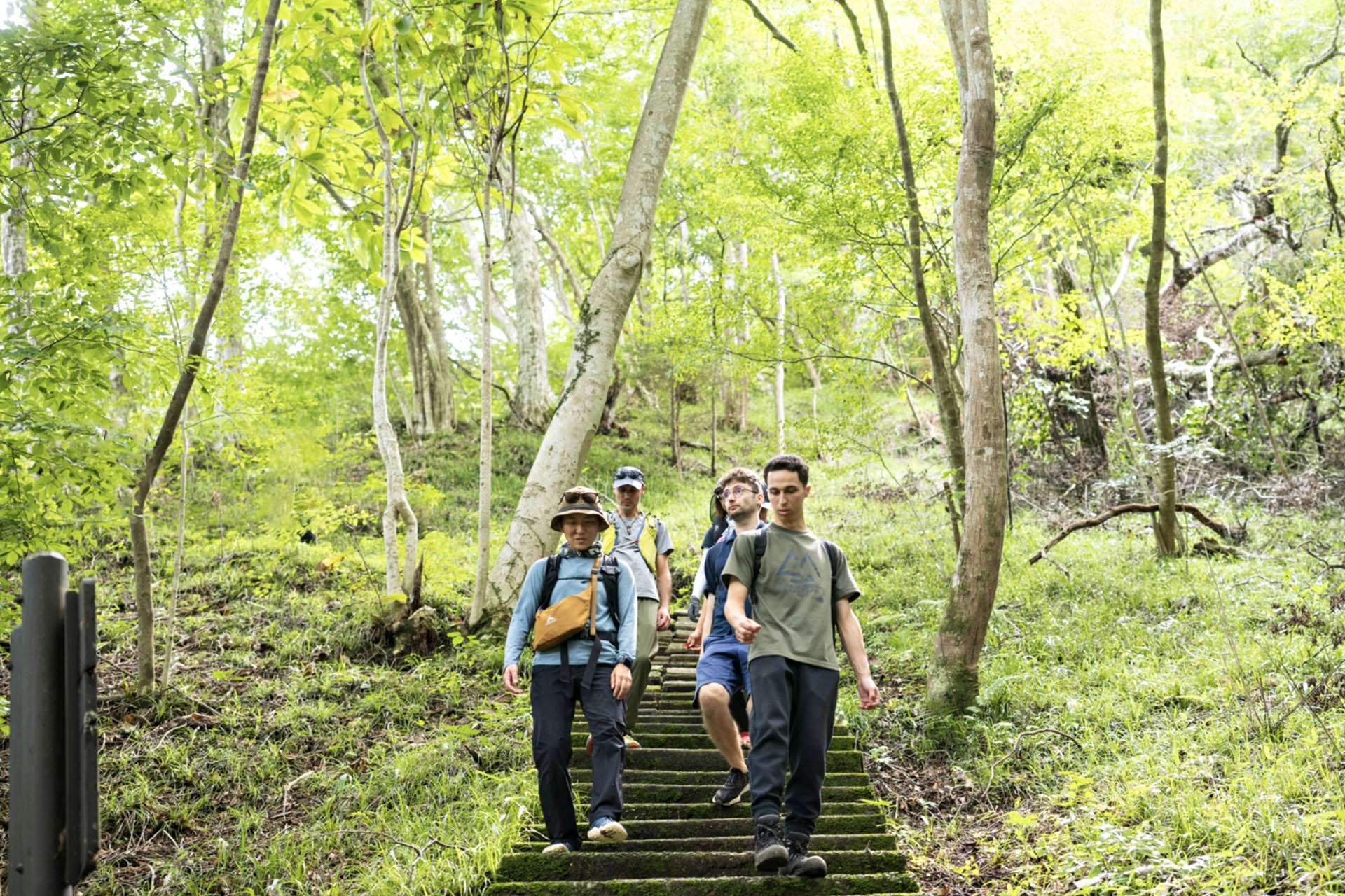Hikers walking through a forest section of the Hitachi-no-Kuni Long Trail in Ibaraki Prefecture, Japan.