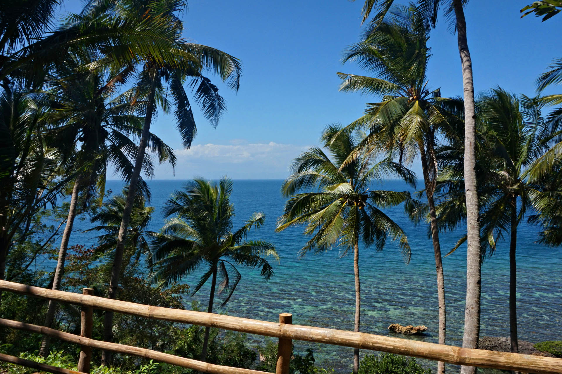 Palm trees overlooking clear tropical water and coral reef on Guimaras Island in the Philippines.