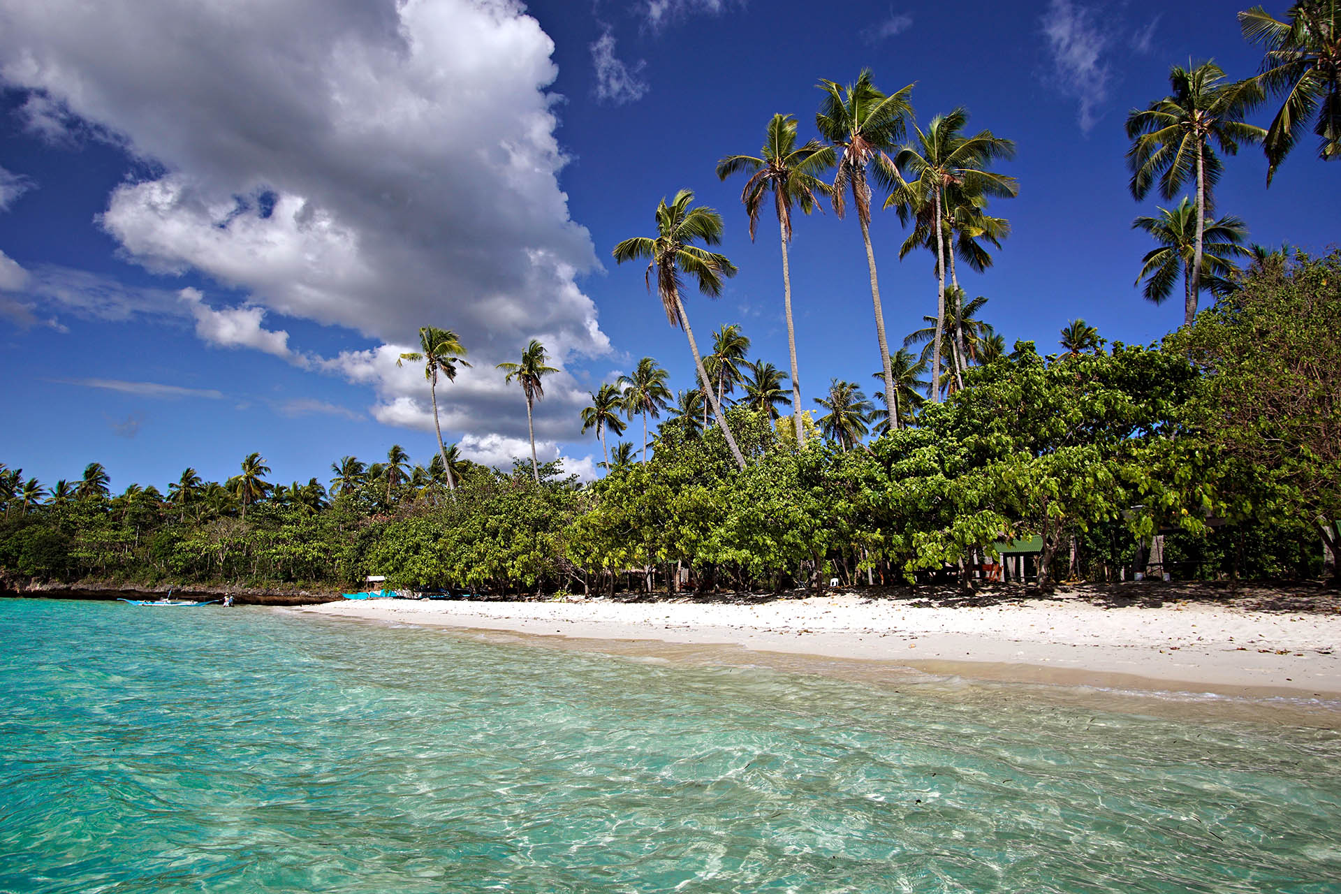White sand beach lined with coconut palms and clear tropical water in the Camotes Islands, Philippines.