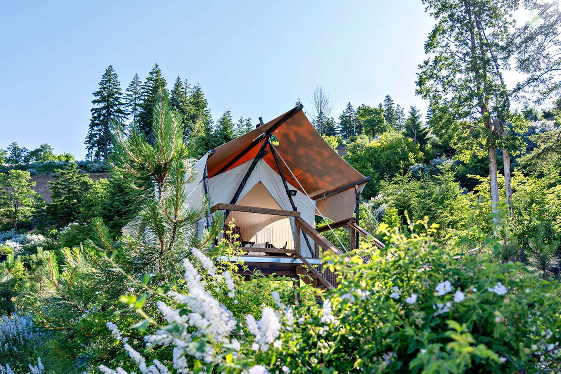 Glamping tent surrounded by forest at Under Canvas Columbia River Gorge.