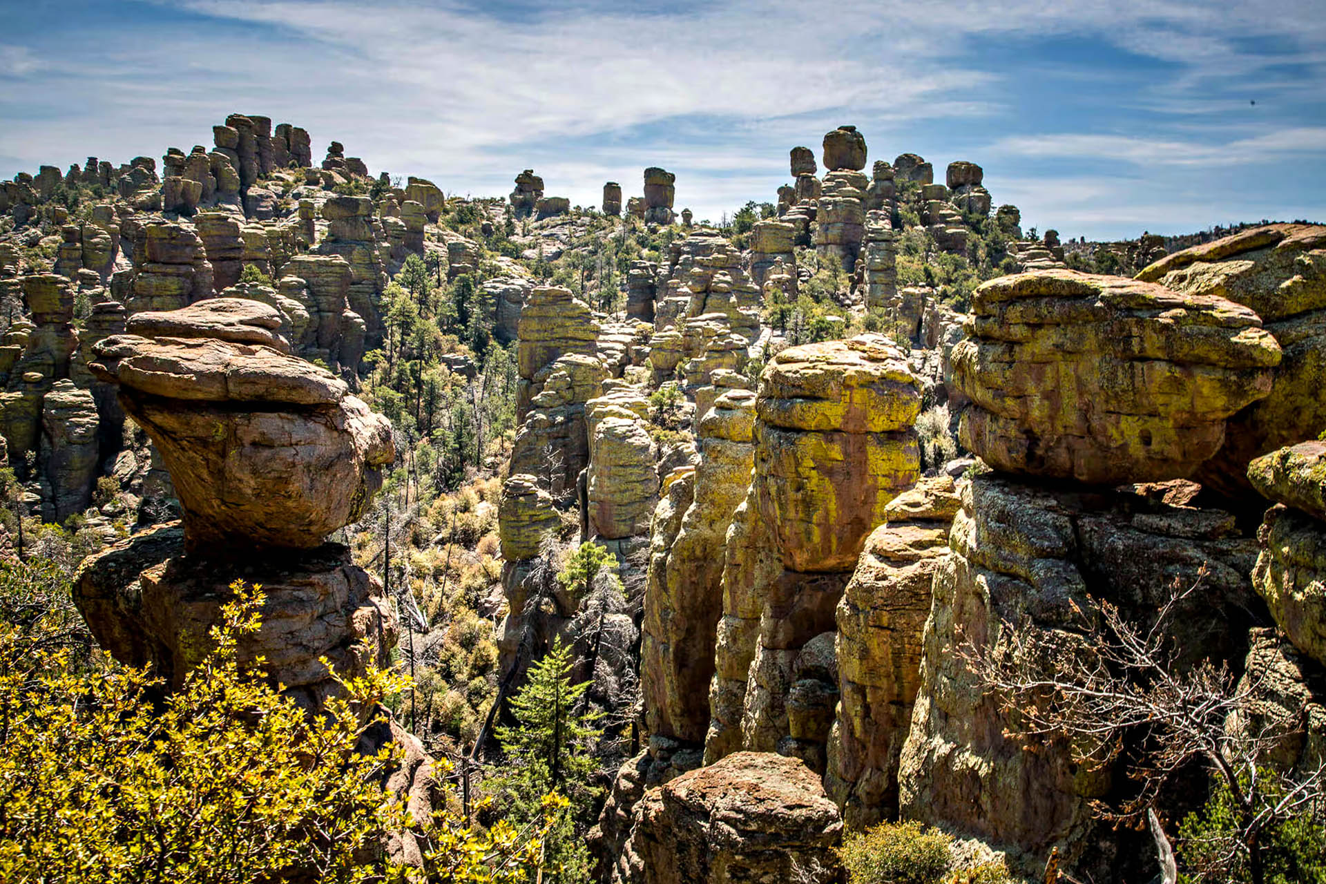 Towering rhyolite rock pinnacles rise above the rugged landscape of Chiricahua National Park in southern Arizona.