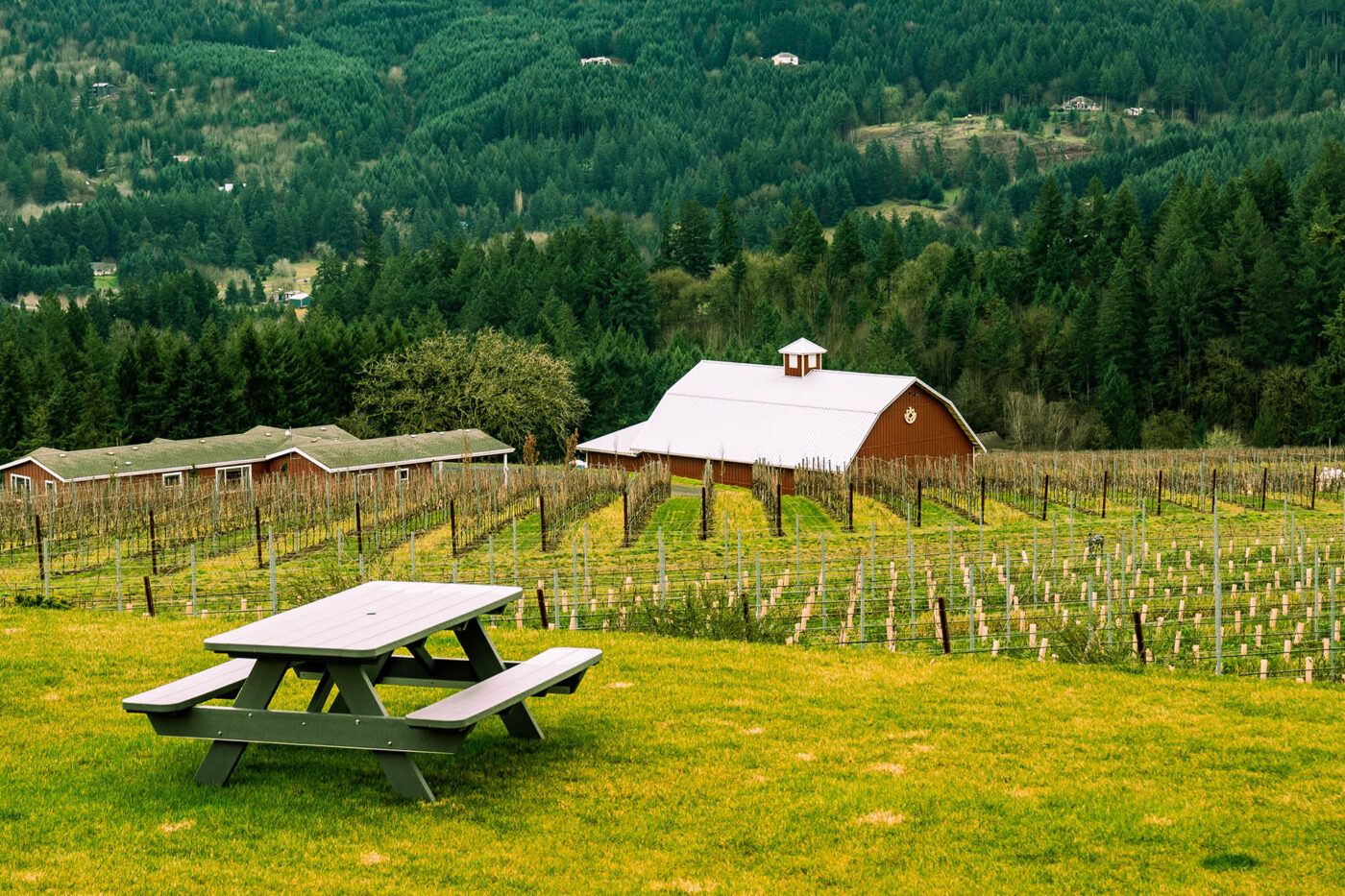 The backdrop here in the Willamette Valley is constantly giving me Norman Rockwell vibes and thats ok.