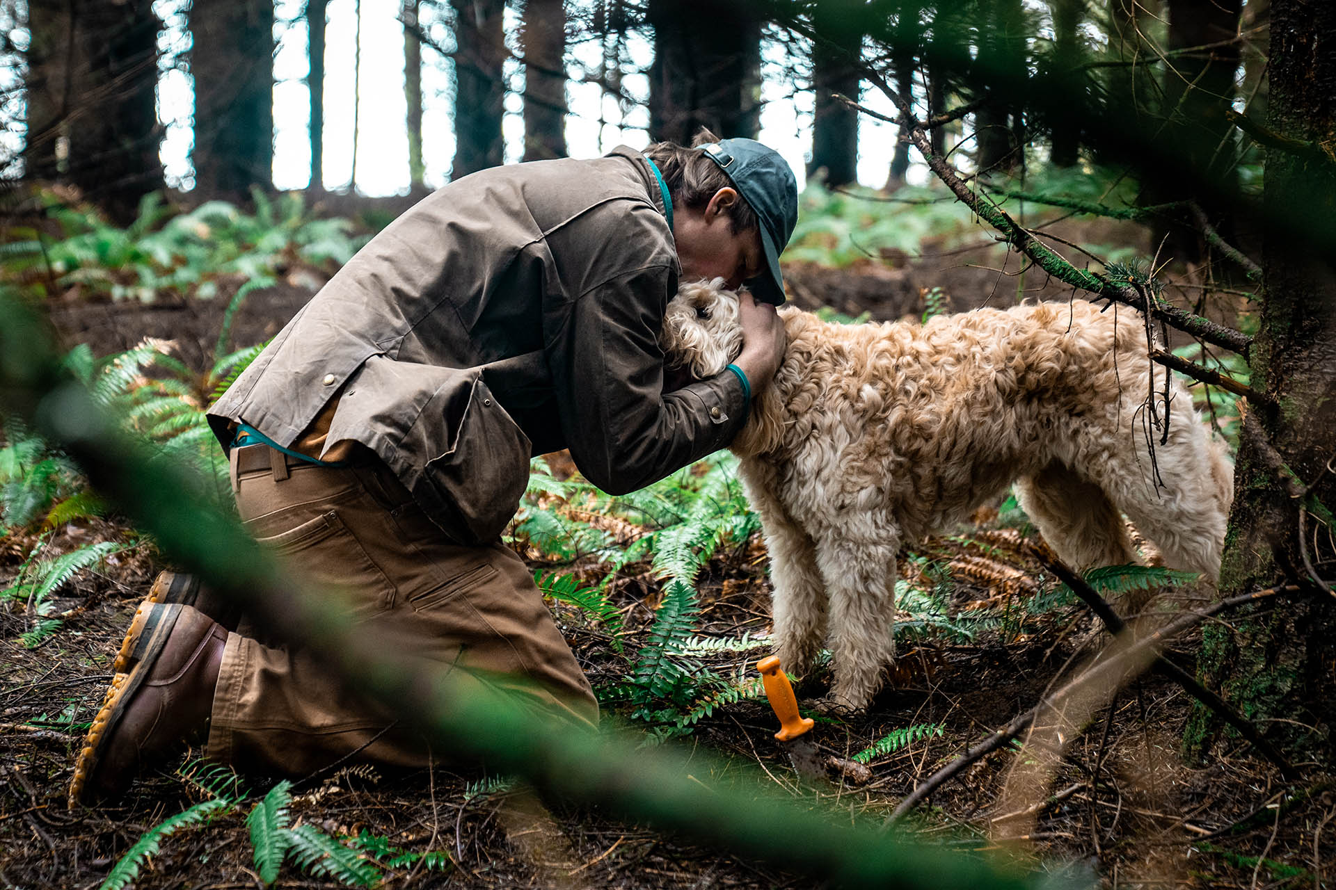 This very good girl has a nose that knows and is able to sniff out a truffle from 30 feet away.