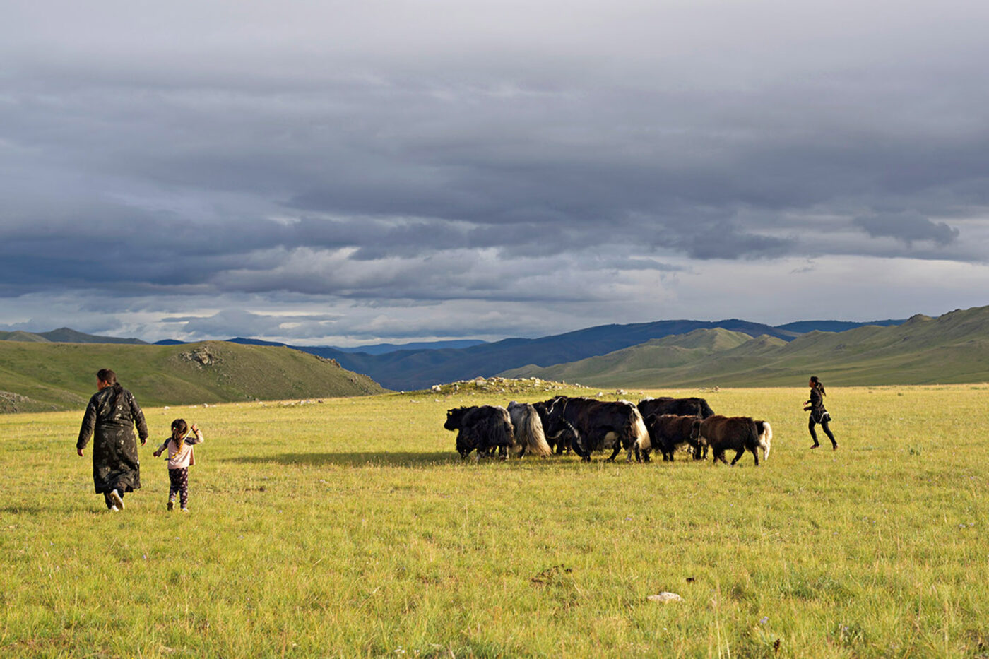 A nomad-family in the field, next to them, a group of livestock.